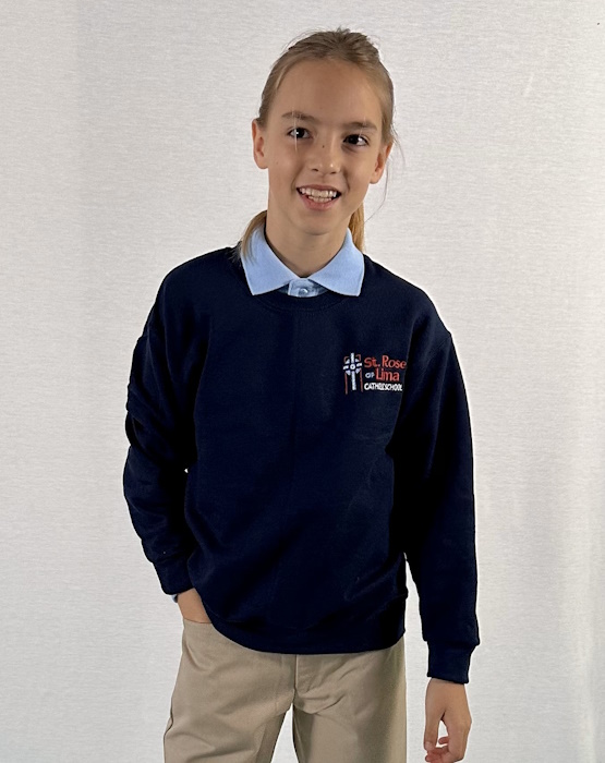 Navy Blue Sweatshirt